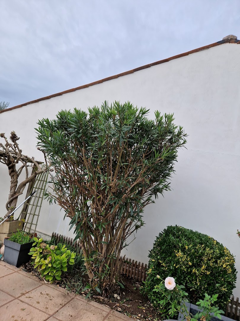 Gj Services · Photos 9